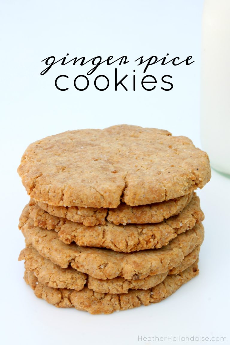 Ginger Spice Cookies – Paleo & AIP